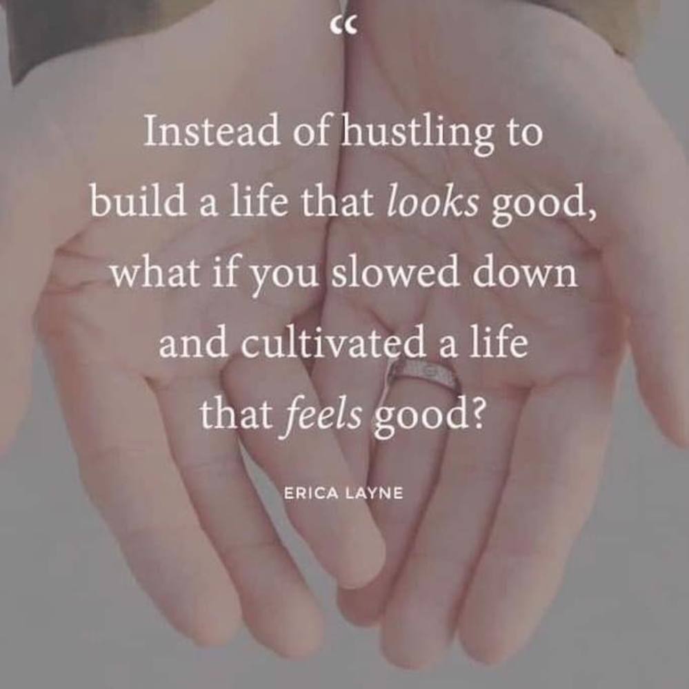 Meet your Posher, Holly